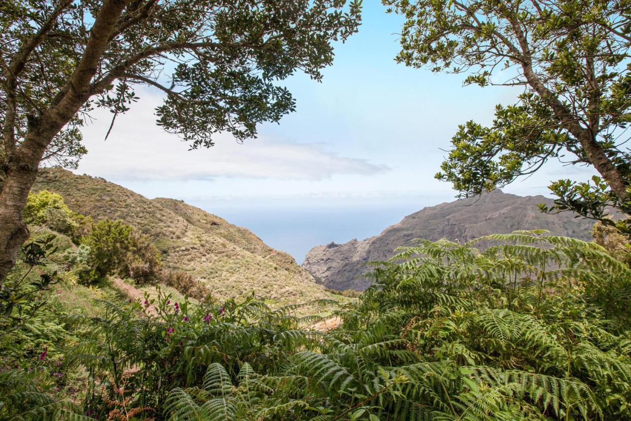Casa Chinamada Villa La Laguna  Eksteriør billede